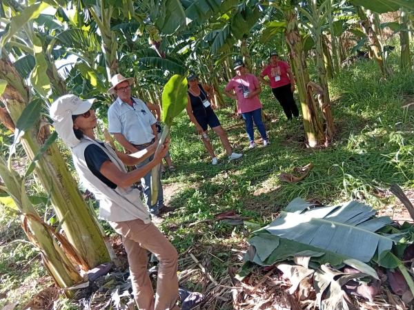 Agricultura Orgânica: mulheres rurais participam de treinamento para atender merenda escolar em Moreira Sales